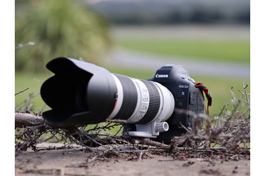 Small canon eos 1d x mark iii test 1