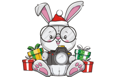 Small bunny