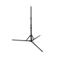 Стойка FST LS-190M, 174 см, до 4 кг