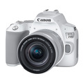 Зеркальный фотоаппарат Canon EOS 250D Kit 18-55 IS STM, белый