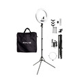 Осветитель Raylab RL-0118 Kit, светодиодный, 60 Вт, 2800-6500К