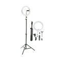 Осветитель Raylab RL-0112 Kit светодиодный, 3200-5500K, 23 Вт