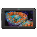 Монитор-рекордер Atomos Sumo 19SE, 19''