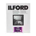 Фотобумага Ilford Multigrade RC Deluxe Glossy, 17.8x24 см, 25 л (MGRCDL1M)