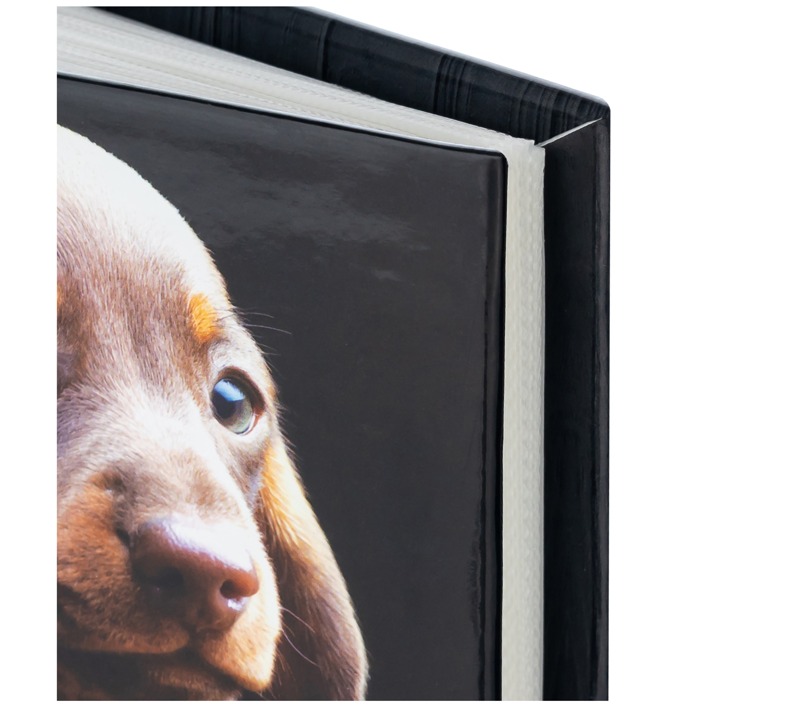 10x15 см, 100 фото, "Животные" (FA-PP100 - 223)