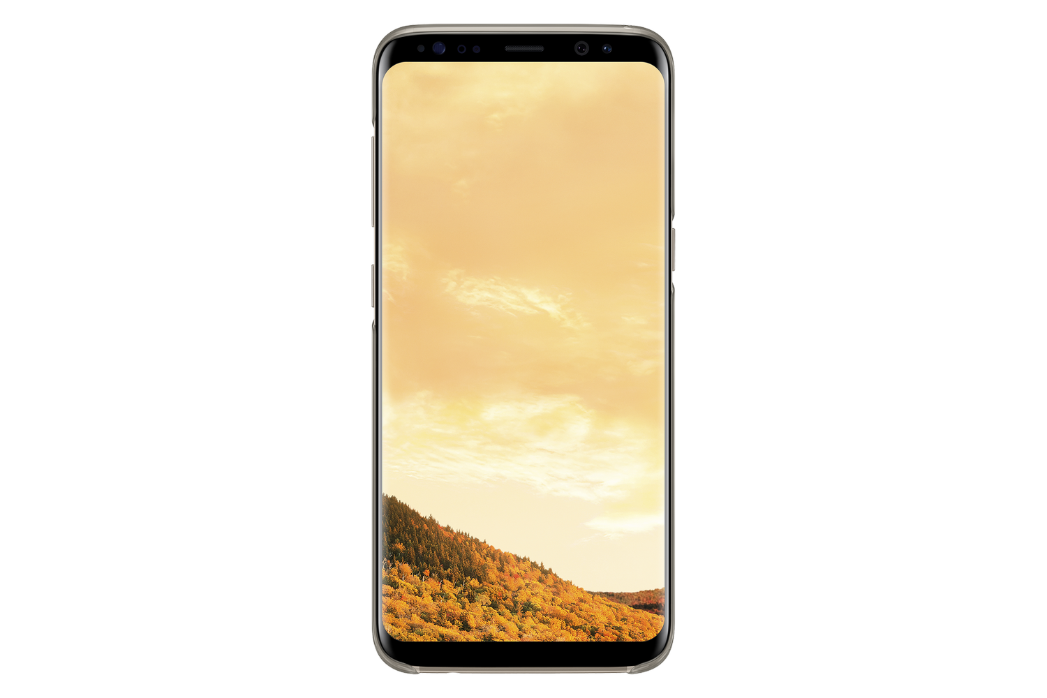 Galaxy s8 отзывы. Samsung Galaxy s8 64gb. Samsung Galaxy s8 Plus 64gb. Смартфон Samsung Galaxy s8 64 ГБ. Смартфон Samsung Galaxy s8+ 64gb.