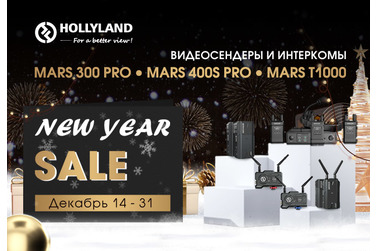 Small hollyland ny 650x450 14 31 dec