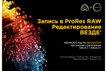 Small atomos assimilate playpro
